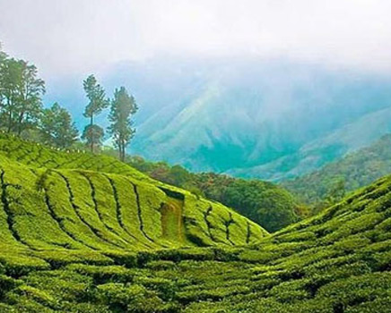 Munnar
